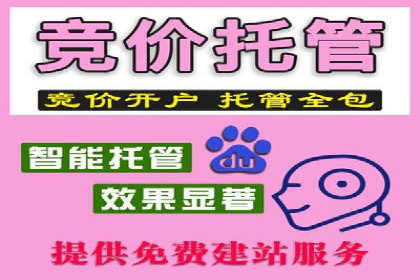 百度推广代理的精准营销策略及效果展示